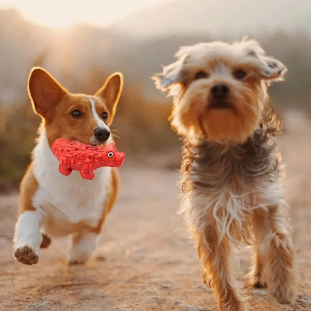 Interactive Dog Toy Set, Plush Squeaky Dog Toy with Movable Cotton Cope, Rubber - Picture 5 of 6